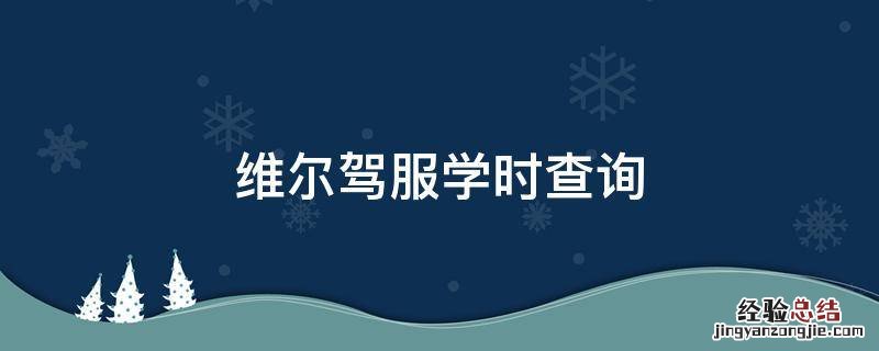 维尔驾服学时查询