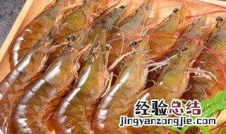 活虾怎么保存到第二天 活虾怎么保存到第二天吃