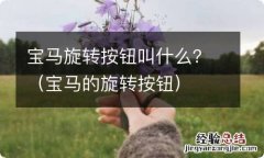 宝马的旋转按钮 宝马旋转按钮叫什么？