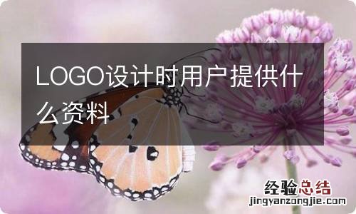 LOGO设计时用户提供什么资料