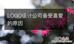 LOGO设计公司备受喜爱的原因