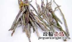 铁皮石斛如何种植方法 铁皮石斛的种植方法技巧