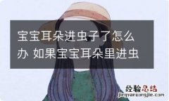 宝宝耳朵进虫子了怎么办 如果宝宝耳朵里进虫子了怎么办