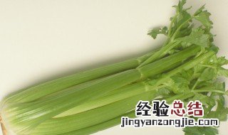 西芹是什么科植物 西芹是什么