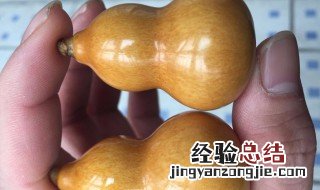 文玩葫芦怎么处理 文玩葫芦怎么处理才能保存