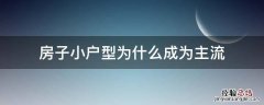 房子小户型为什么成为主流