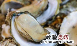 海蛎子怎么存放 海蛎子的存放方法