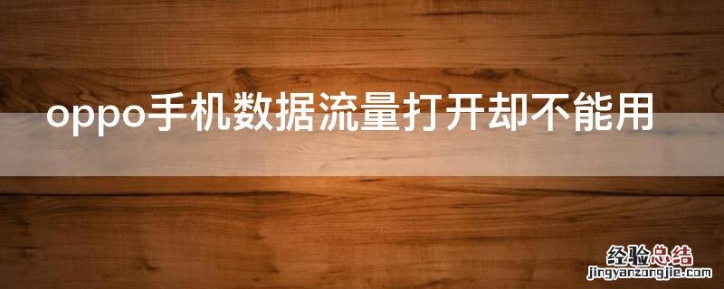 oppo手机数据流量打开却不能用