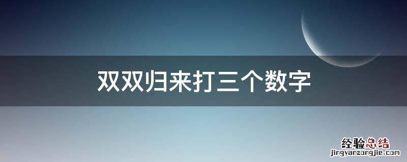 双双归来打三个数字