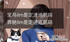 宝马lim是定速巡航吗 奔驰lim是定速巡航吗