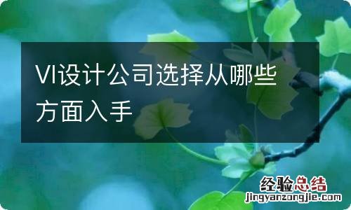 VI设计公司选择从哪些方面入手