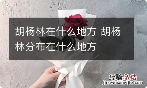 胡杨林在什么地方 胡杨林分布在什么地方
