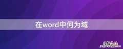 在word中何为域