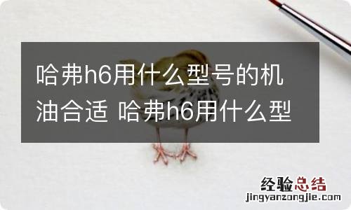 哈弗h6用什么型号的机油合适 哈弗h6用什么型号的机油合适运动版