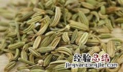 做什么菜适合放小茴香 小茴香做什么菜比较合适