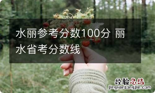 水丽参考分数100分 丽水省考分数线