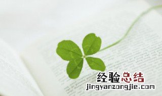 四叶草与二叶草的花语是什么 四叶草与二叶草各代表什么