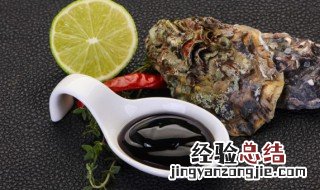 蚝油怎么用味道最好的方法和技巧 蚝油怎么样用