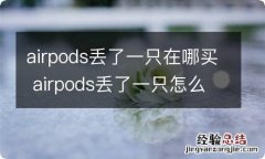 airpods丢了一只在哪买 airpods丢了一只怎么购买