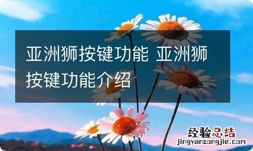 亚洲狮按键功能 亚洲狮按键功能介绍