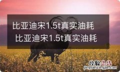 比亚迪宋1.5t真实油耗 比亚迪宋1.5t真实油耗量