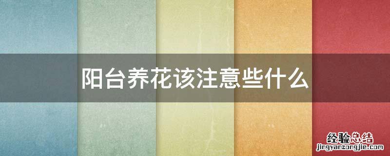 阳台养花该注意些什么