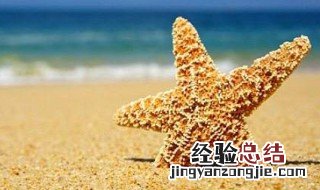 海星可以吃吗 紫色海星可以吃吗