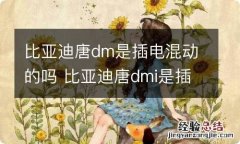 比亚迪唐dm是插电混动的吗 比亚迪唐dmi是插电混动吗