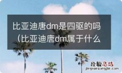 比亚迪唐dm属于什么四驱 比亚迪唐dm是四驱的吗