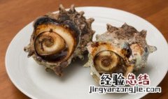 用海螺壳制作假山 海螺壳怎么做工艺品