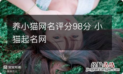 养小猫网名评分98分 小猫起名网