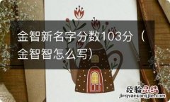 金智智怎么写 金智新名字分数103分