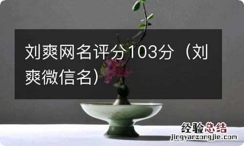 刘爽微信名 刘爽网名评分103分