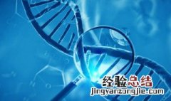 原核生物和真核生物有哪些主要区别与联系 原核生物和真核生物有哪些主要区别