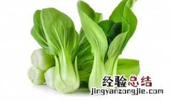 油菜和小油菜的区别 油菜和小油菜的区别是什么