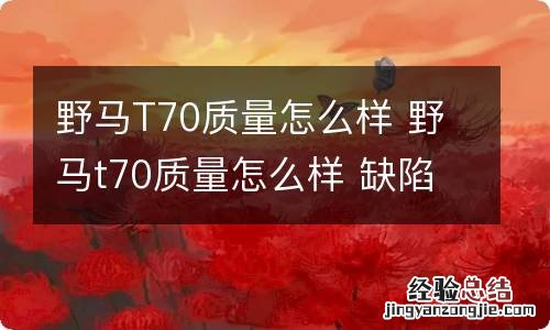 野马T70质量怎么样 野马t70质量怎么样 缺陷有多少