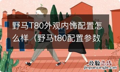 野马t80配置参数 野马T80外观内饰配置怎么样