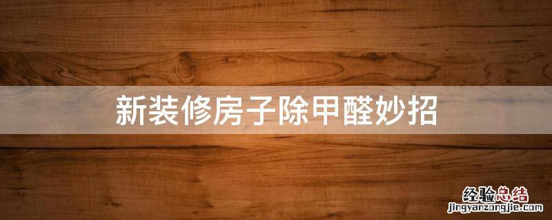新装修房子除甲醛妙招