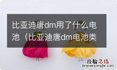 比亚迪唐dm电池类型 比亚迪唐dm用了什么电池