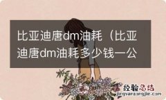 比亚迪唐dm油耗多少钱一公里? 比亚迪唐dm油耗