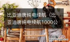 比亚迪唐纯电续航1000公里 比亚迪唐纯电续航