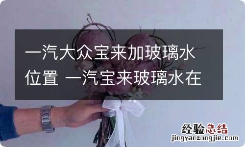 一汽大众宝来加玻璃水位置 一汽宝来玻璃水在哪加