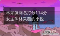 林采薇网名打分114分 女主叫林采薇的小说