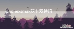 iPhonexsmax双卡双待吗