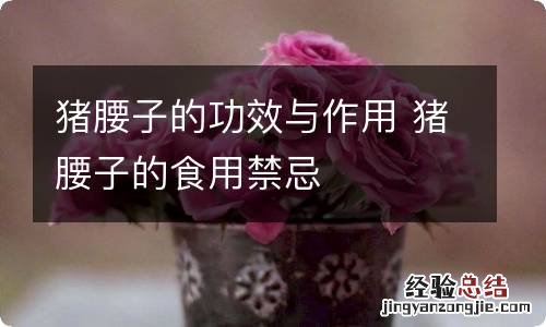 猪腰子的功效与作用 猪腰子的食用禁忌