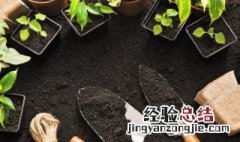 怎样才能把植物养好 怎么才能种好植物