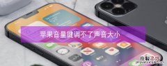 iPhone音量键调不了声音大小