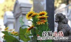 向日葵怎样做干花 向日葵怎样做干花?