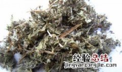 怎样用茵陈泡水喝 如何用茵陈泡水喝