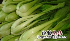 快菜是什么菜 快菜介绍